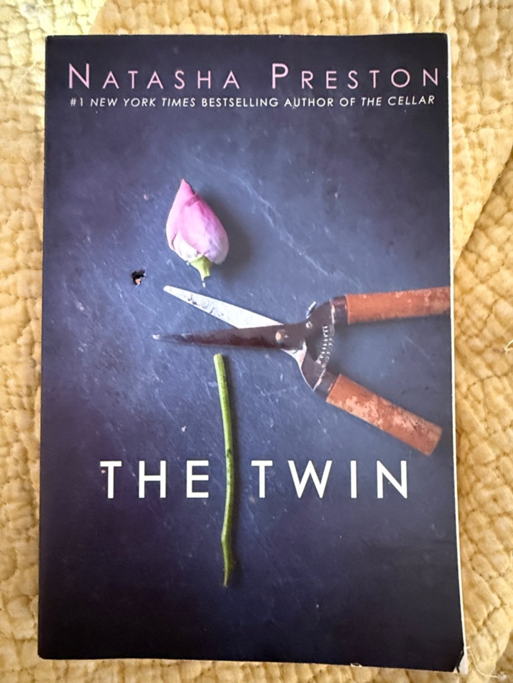 The Twin by Natasha Preston Paperback